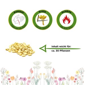 Samen der Chili Lombardo "Deine Gartenwelt": Saatgut für ca. 30 Pflanzen. Milde Peperoni.