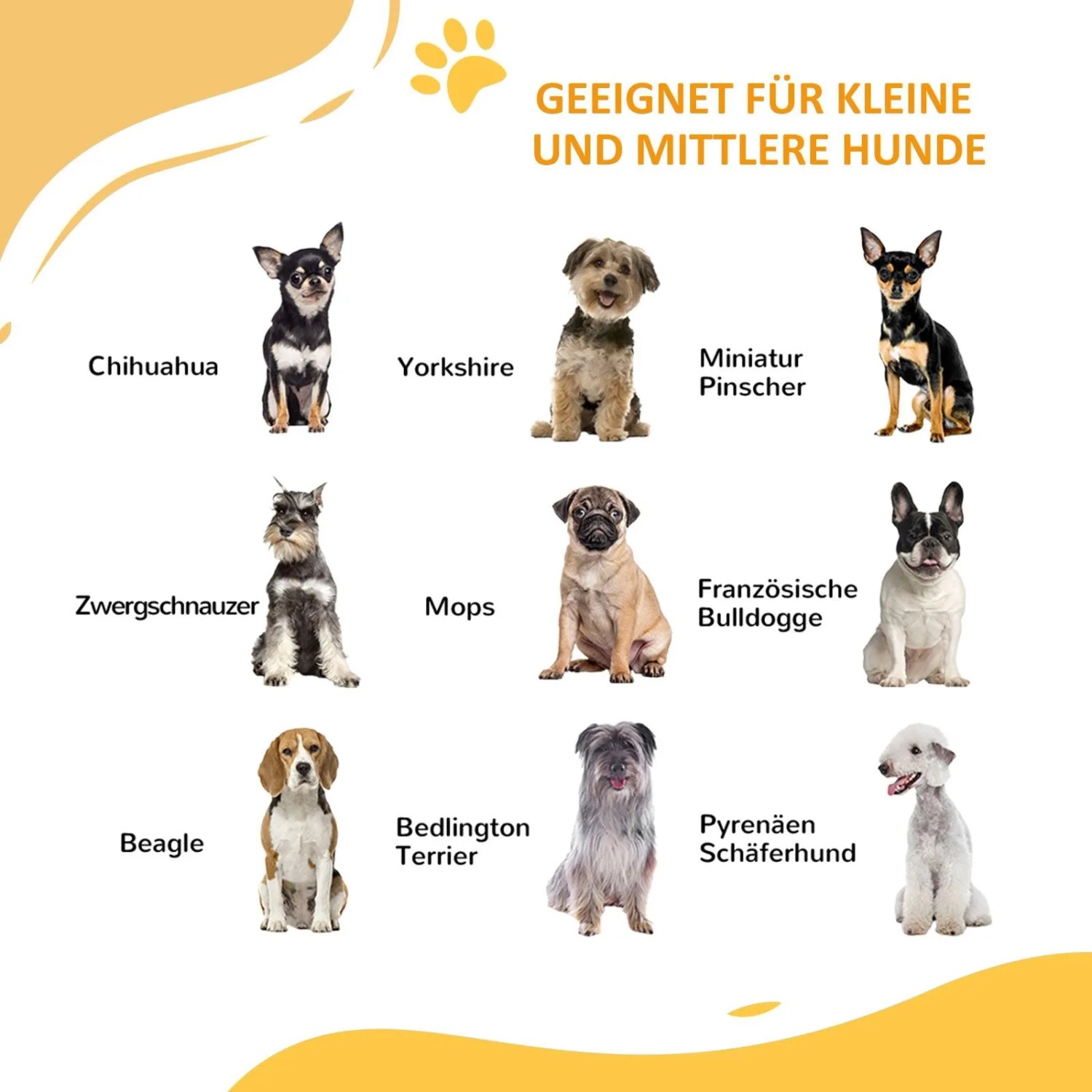 Kleine und mittlere Hunderassen wie Mops, Beagle, Chihuahua, geeignet für PawHut Treppenschutzgitter.