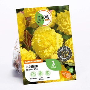 GROW by OBI Begonie Fimbriata Gelb, ca. 25cm hoch. Gelbe, gefüllte Blüten. Blumenzwiebeln für Beet und Balkon.
