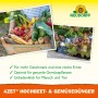Neudorff Azet Hochbeet- und Gemüse Dünger: Gemüseernte im Korb und Hochbeet mit Salat.