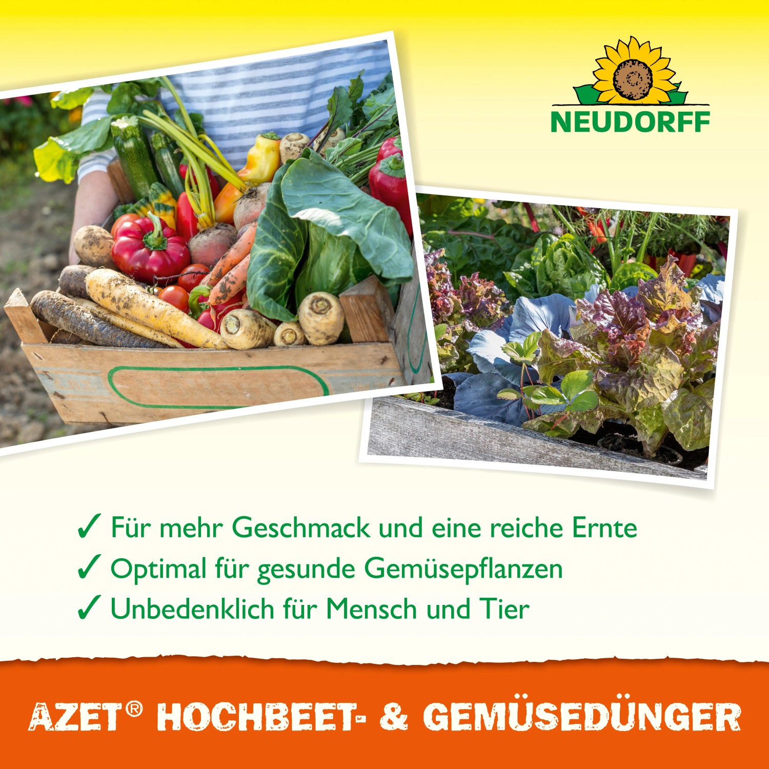 Neudorff Azet Hochbeet- und Gemüse Dünger: Gemüseernte im Korb und Hochbeet mit Salat.