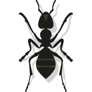 Grafik einer Ameise, Symbol für Nexa Lotte Ameisen-Spray, insektizidfrei.