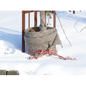 Videx Schafwollmatte Stein, 150x50 cm, als Winterschutz um einen Pflanzenkübel im Schnee.