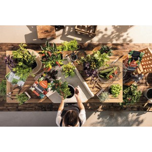 Pflanztisch mit Gemüse, Kräutern und Lechuza Veggiepon Pflanzsubstrat (12L) für Gemüse und Obst.