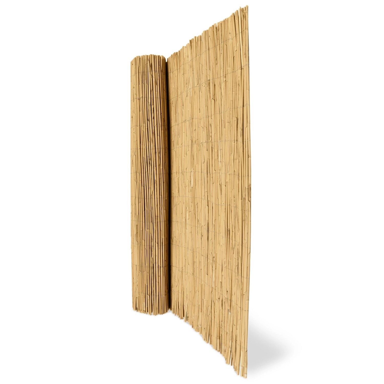 Sol Royal Schilf Sichtschutzzaun, 120x600cm, gerollt und aufgestellt.