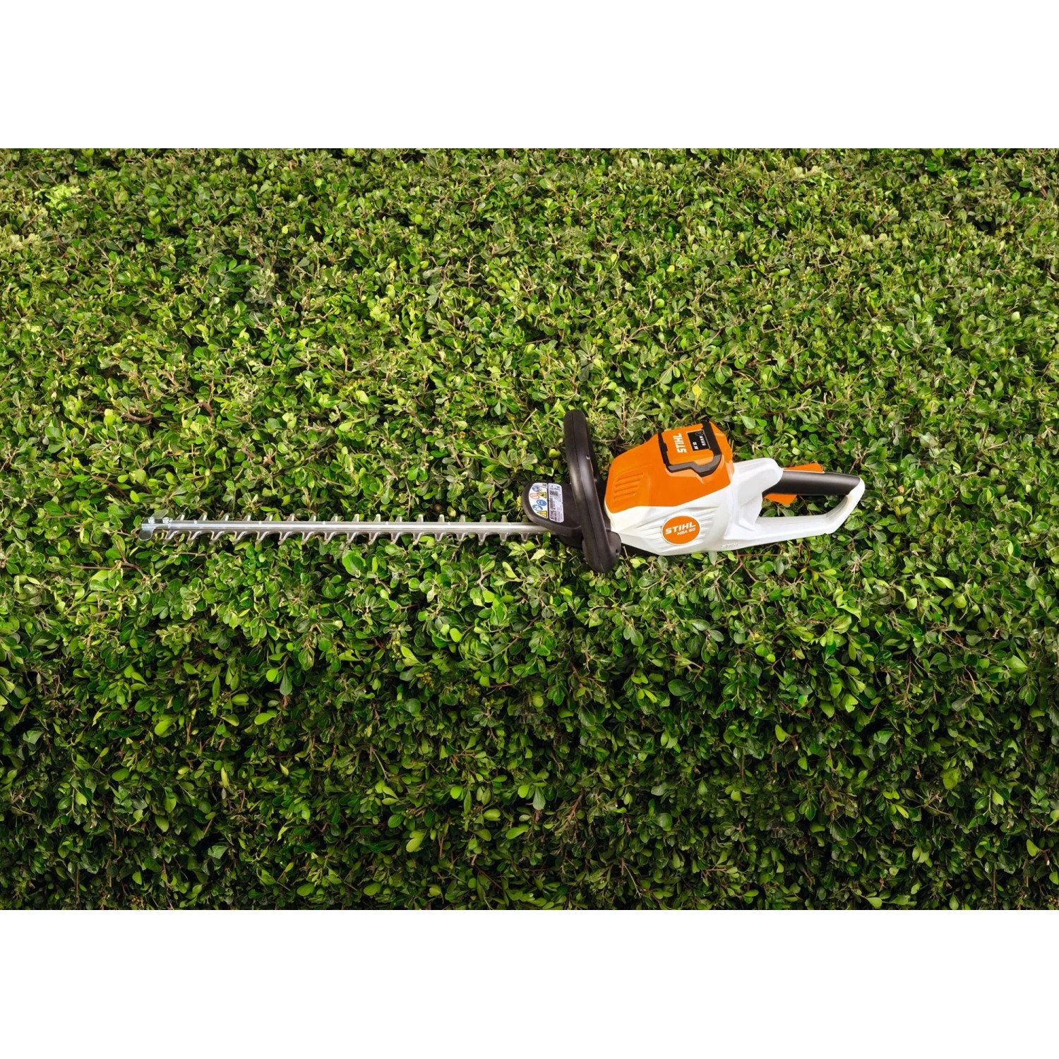 Stihl Akku-Heckenschere HSA 50 (ohne Akku/Ladegerät) vor grüner Hecke.