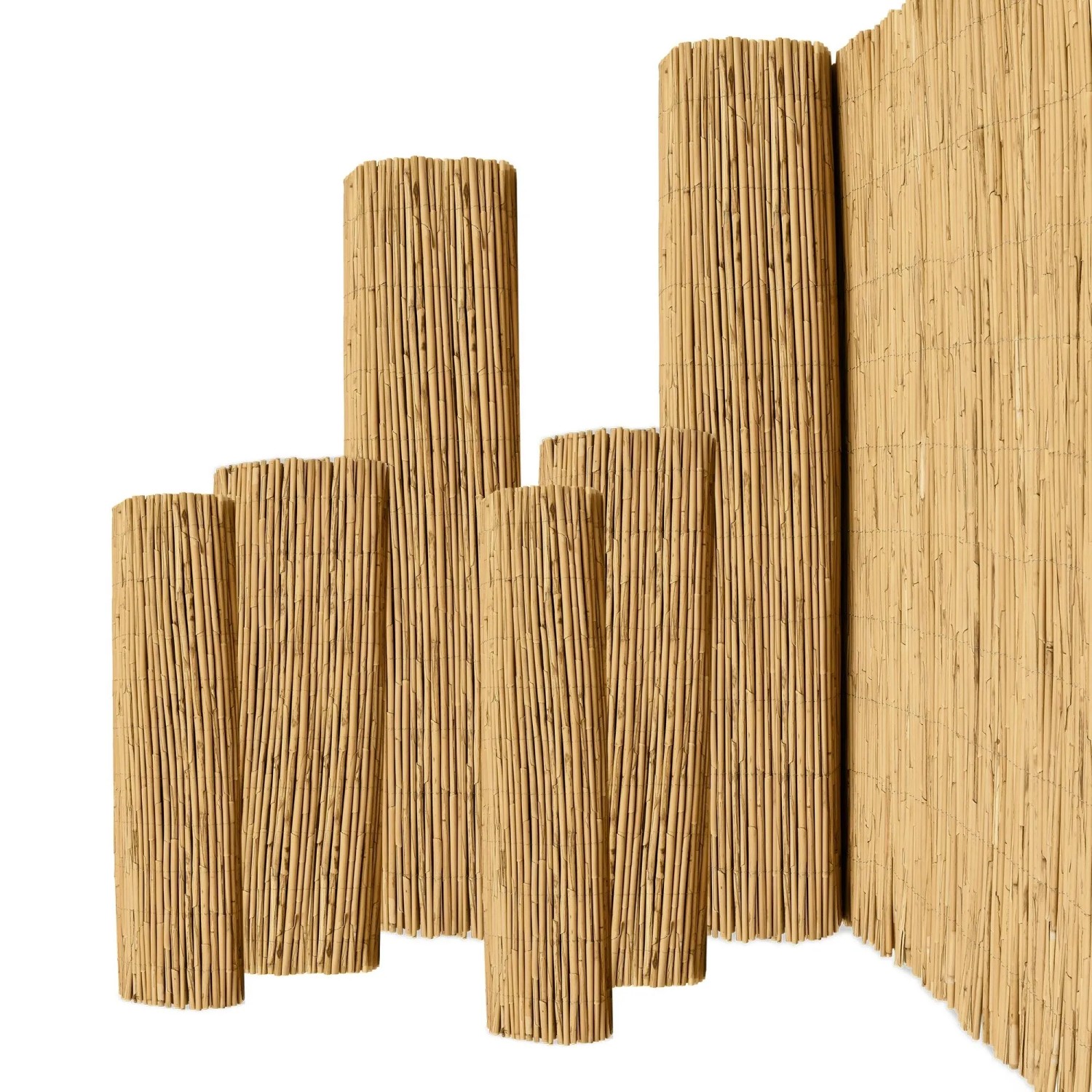 Sol Royal SolVision S36 Sichtschutzzaun 80x600cm Schilf günstig online kaufen