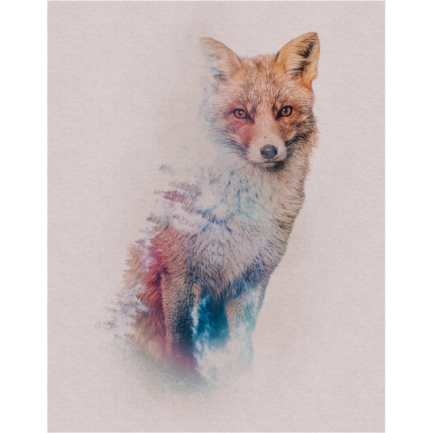 Komar Wandbild Animals Fox 40 x 50 cm