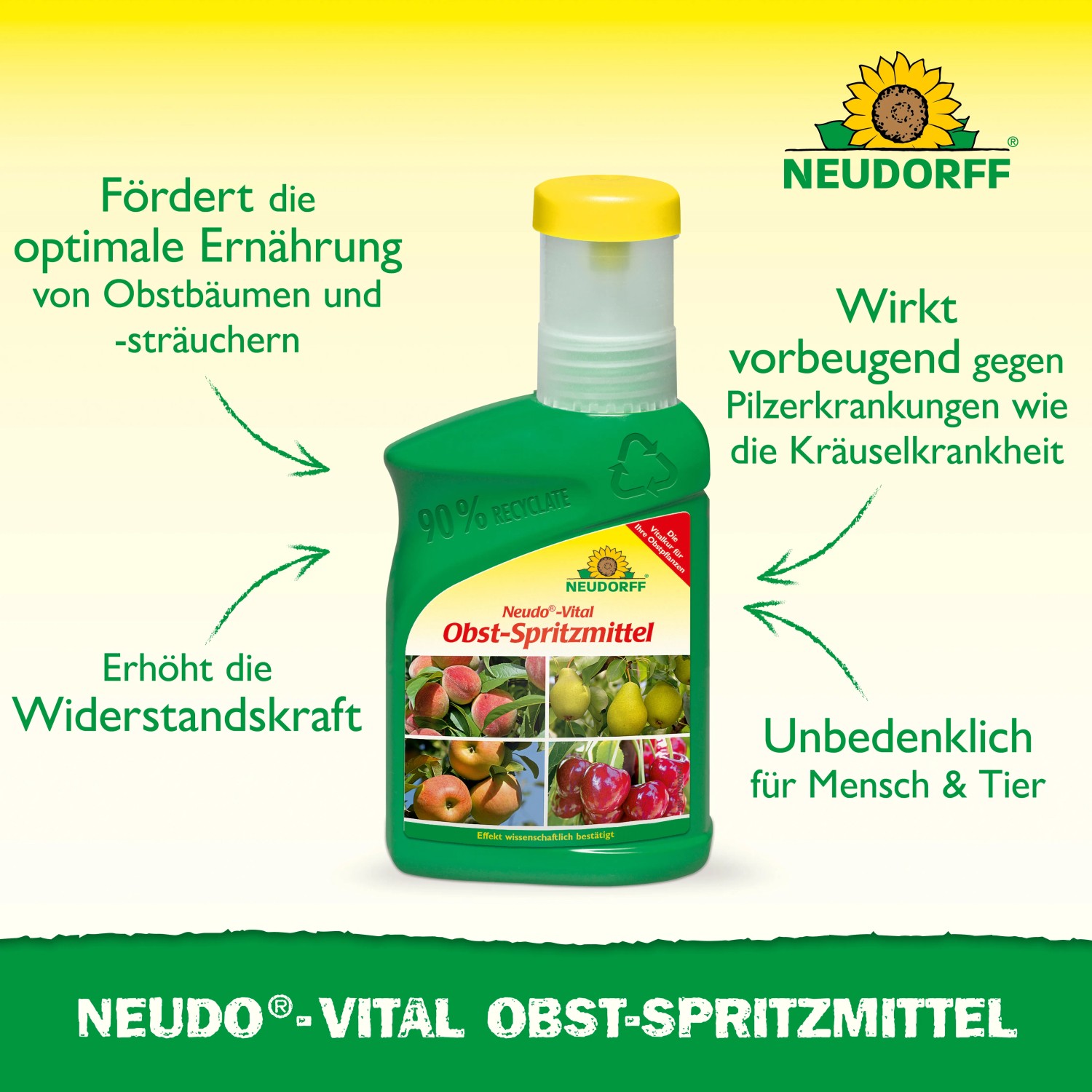 Neudorff Neudo-Vital Obst-Spritzmittel 250ml: Pflanzenstärkung für gesunde Obstbäume und -sträucher.