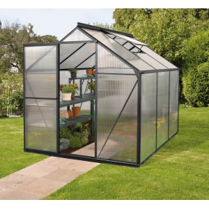Schwarzes Vitavia Gewächshaus Triton 3800 mit geöffneter Tür und Pflanzenregal im Garten.