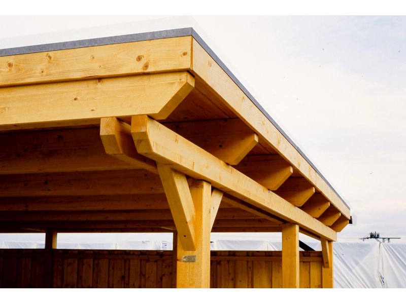 Skan Holz Flachdach-Einzelcarport Emsland 354 bei 604 cm OBI x cm kaufen
