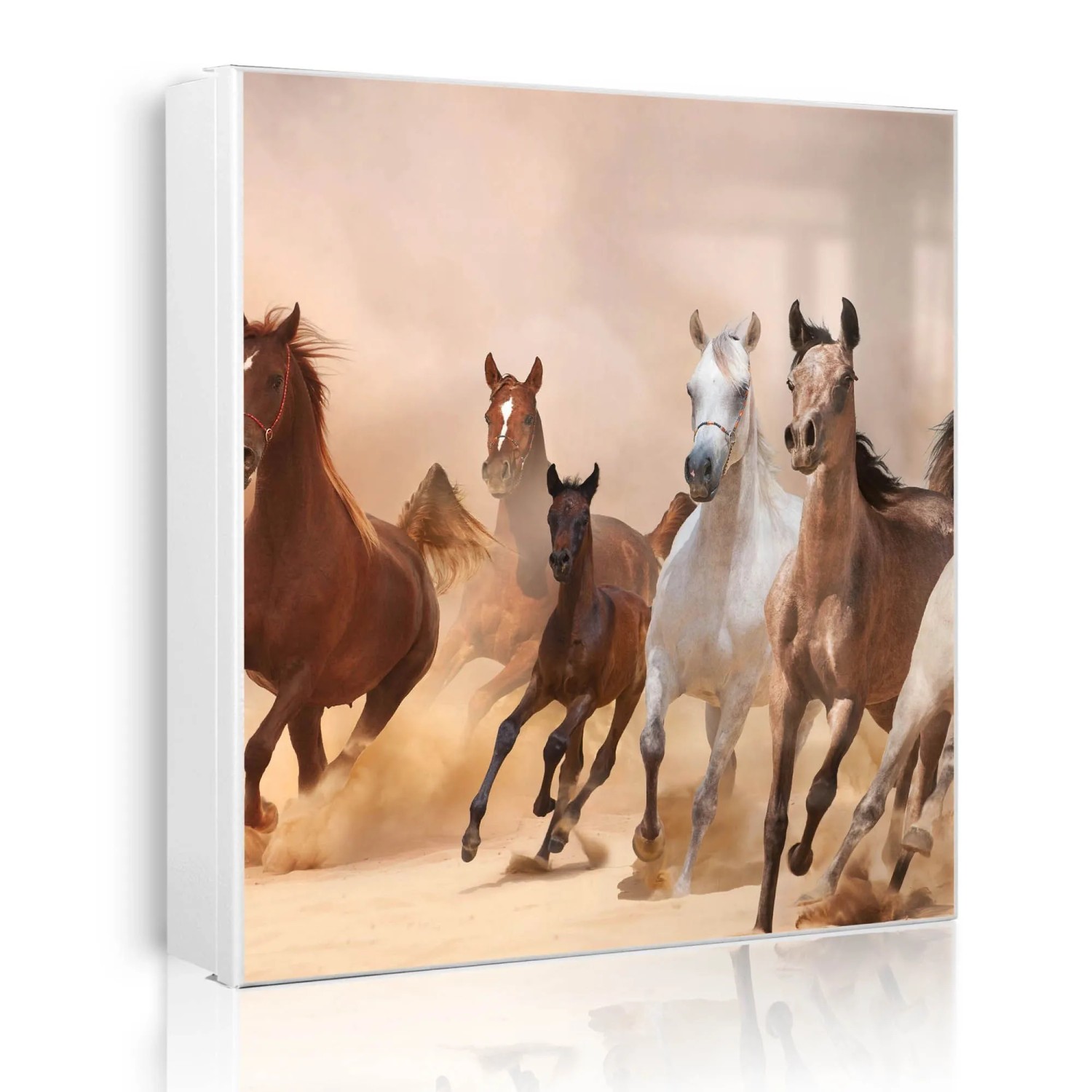 Banjado Großer Schlüsselkasten Metall 30x30cm Weiß Scharnier Links 50 Haken Beschreibbar Magnetisch Motiv Mongolische Stimmung