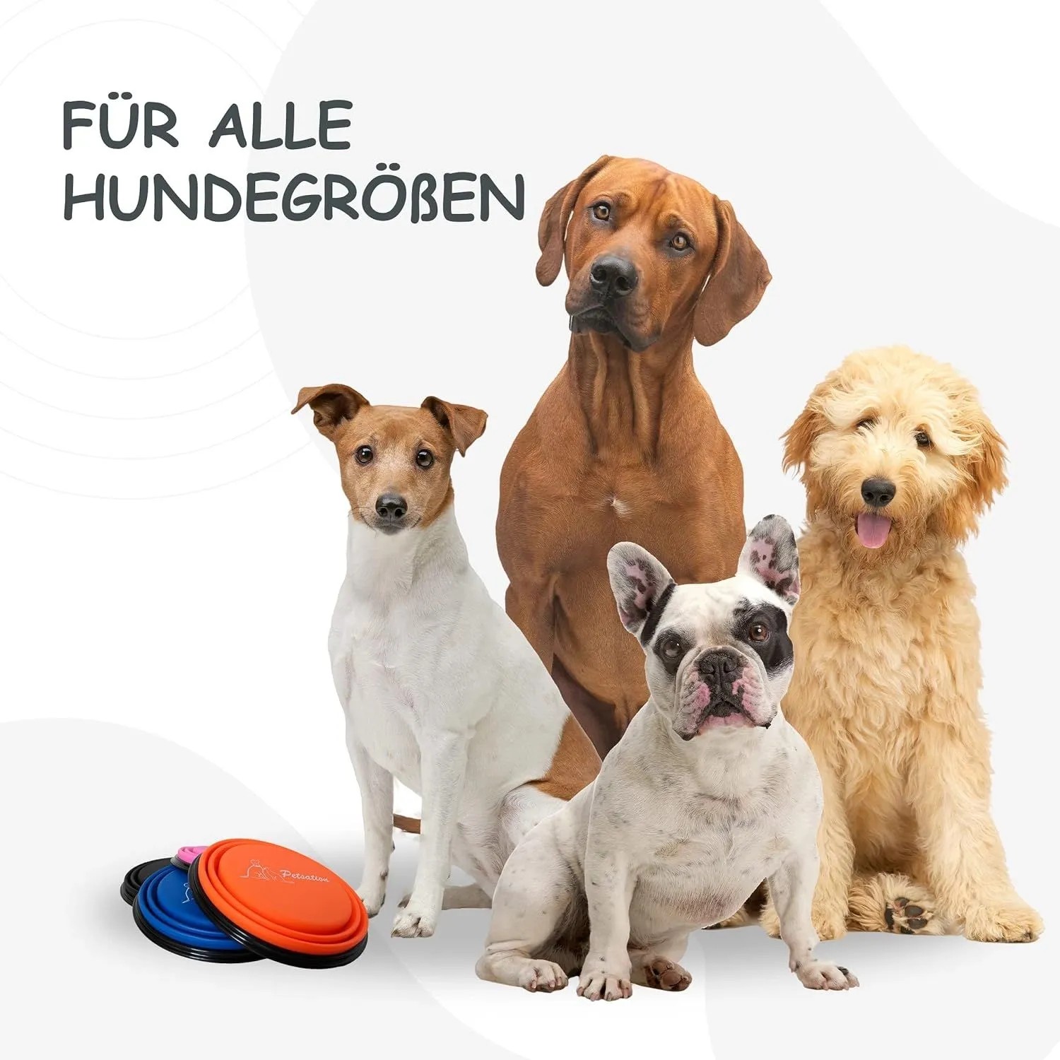 Petsation Faltbarer Reisenapf: Vier Hunde verschiedener Größen und Farben posieren.