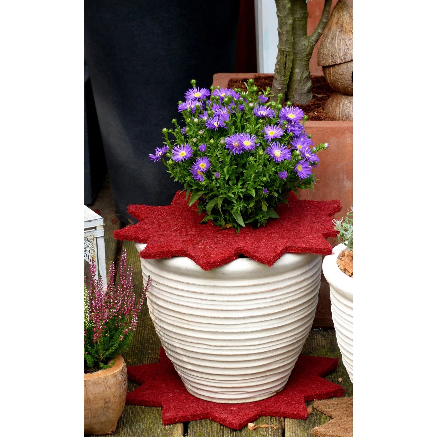3 rote Mulchscheiben in Sternform (Ø 45cm) um einen bepflanzten Topf. Winterschutz & Unkrautunterdrückung.