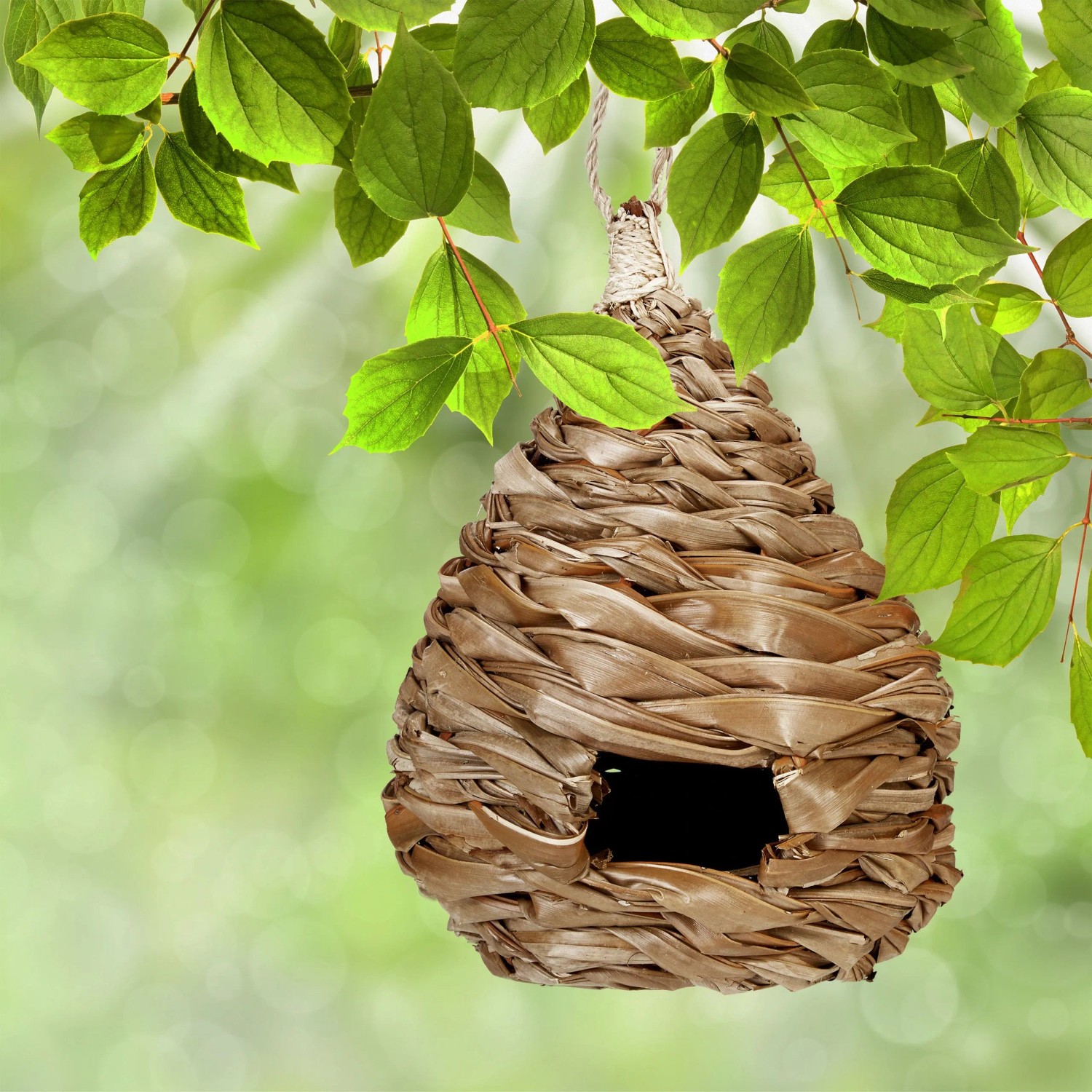 Geflochtenes Vogelnest aus Kokosfaser mit rechteckigem Flugloch, hängt an Ast. Ideal als Nistkasten & Nisthilfe.