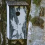 Dobar Nistkasten mit Baumrinde-Aufdruck an einem Birkenstamm. Vogelhaus aus Holz mit Einflugloch.