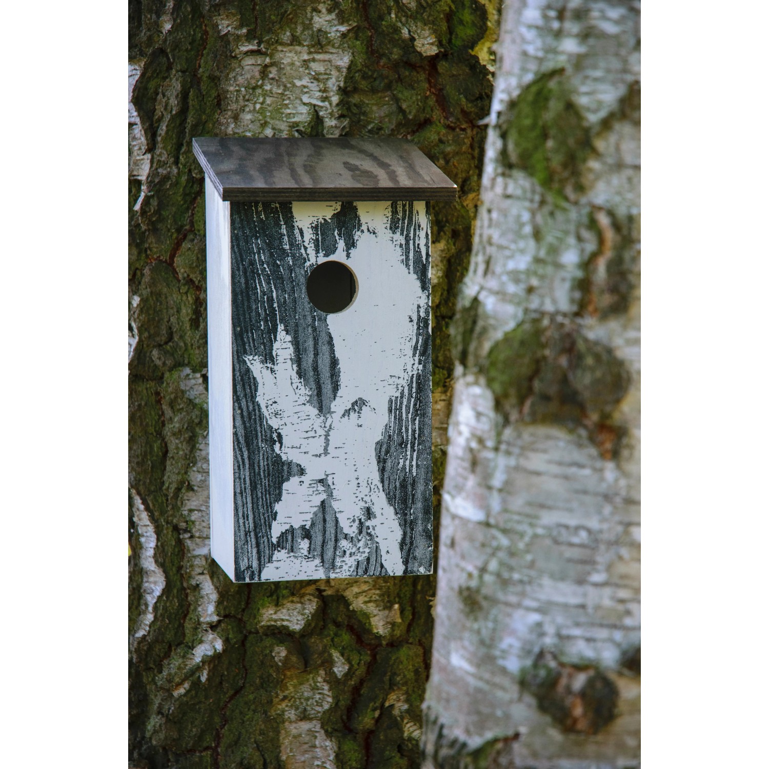 Dobar Nistkasten mit Baumrinde-Aufdruck an einem Birkenstamm. Vogelhaus aus Holz mit Einflugloch.