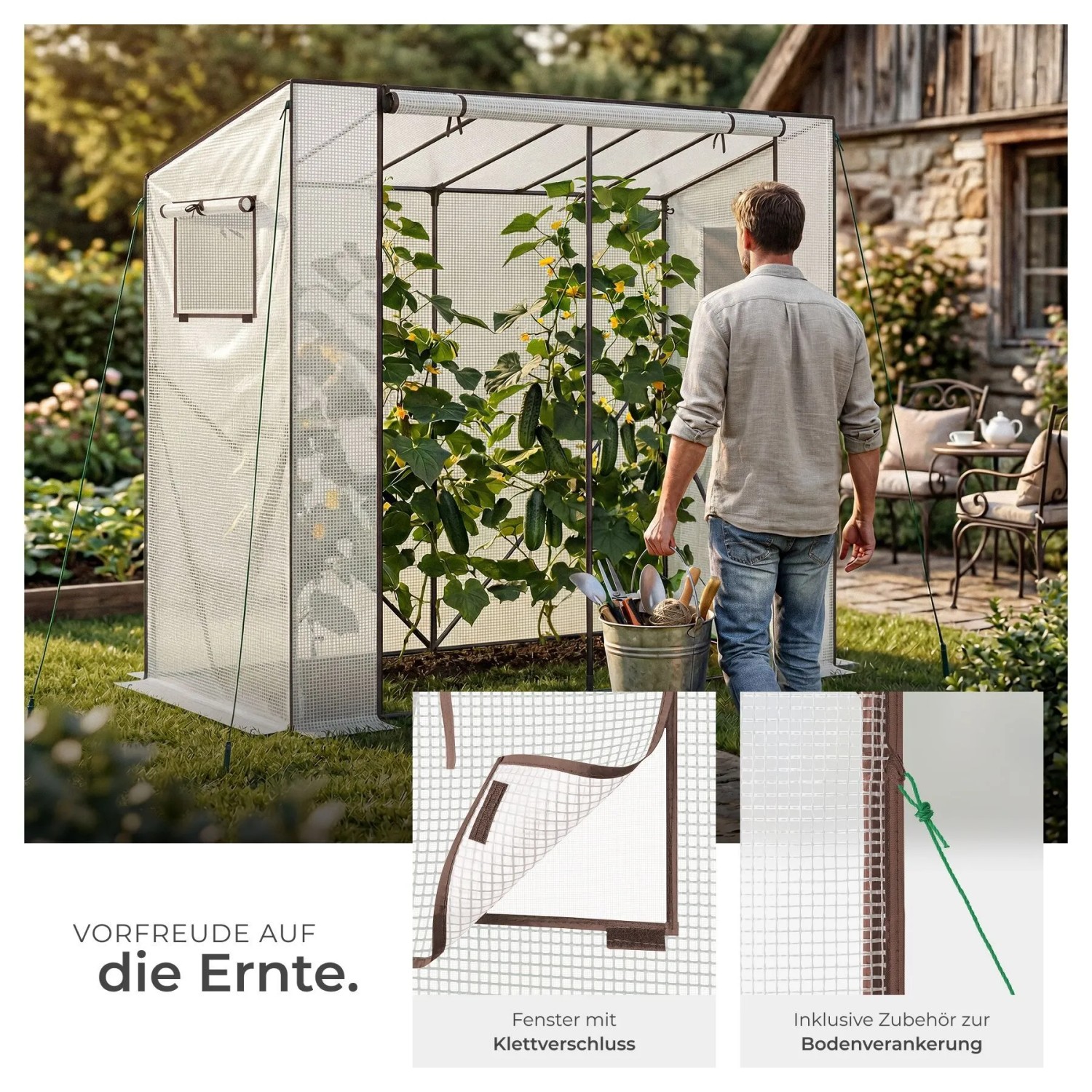 Tectake Foliengewächshaus Anton transparent im Garten, Mann pflegt Gurken. Wetterfest, UV-beständig, mit Rolltür & Fenster.
