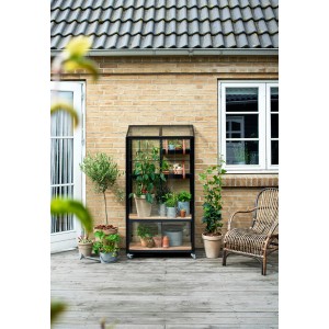 Juliana Urban City Gewächshaus Anthrazit mit Pflanzen auf einer Terrasse.