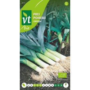 Lauch 'Carentan' Bio Samen Ca. 3 g Reich an Vitamin K