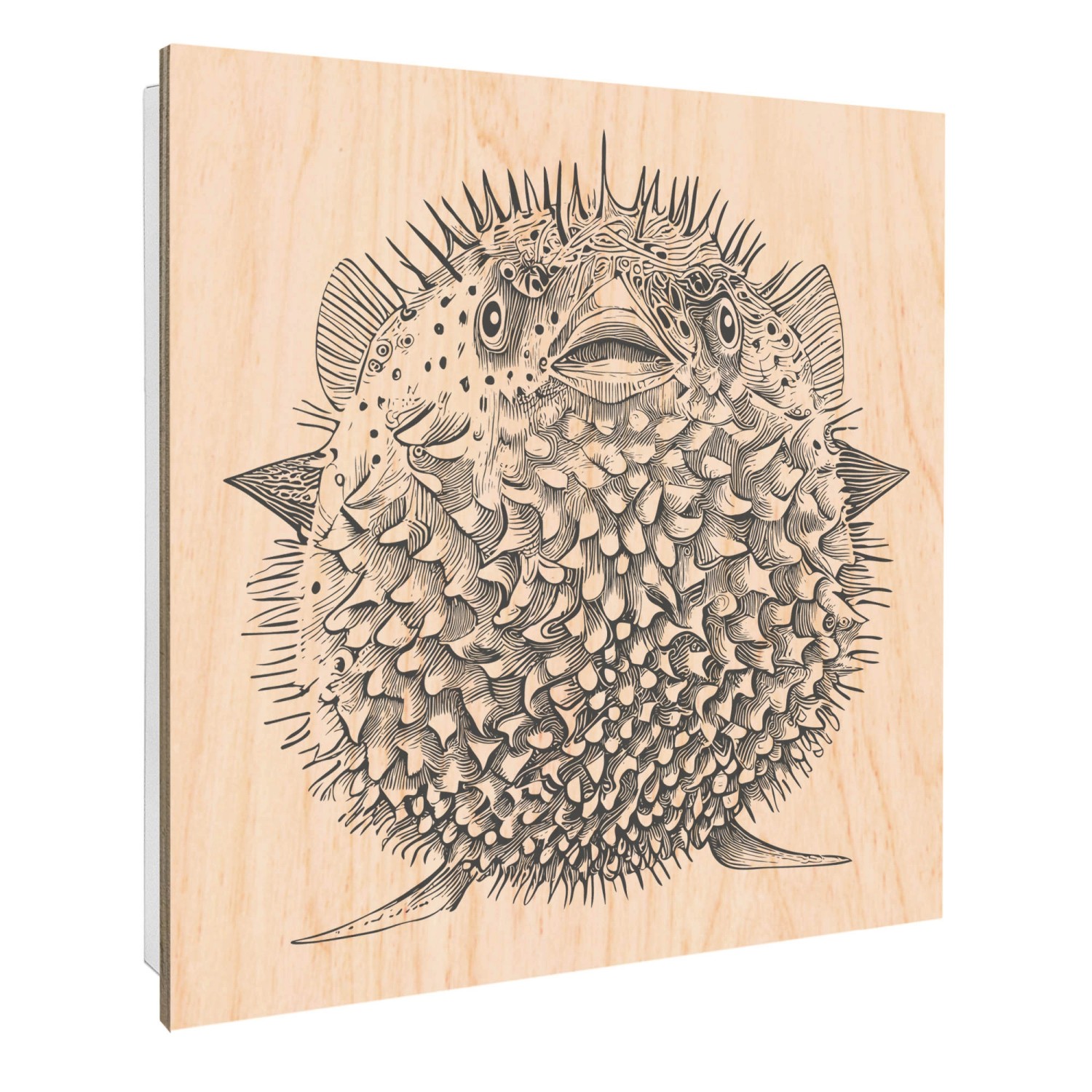 Banjado Großer Schlüsselbox Holz 30x30cm Weiß Scharnier Rechts 50 Haken Sch günstig online kaufen