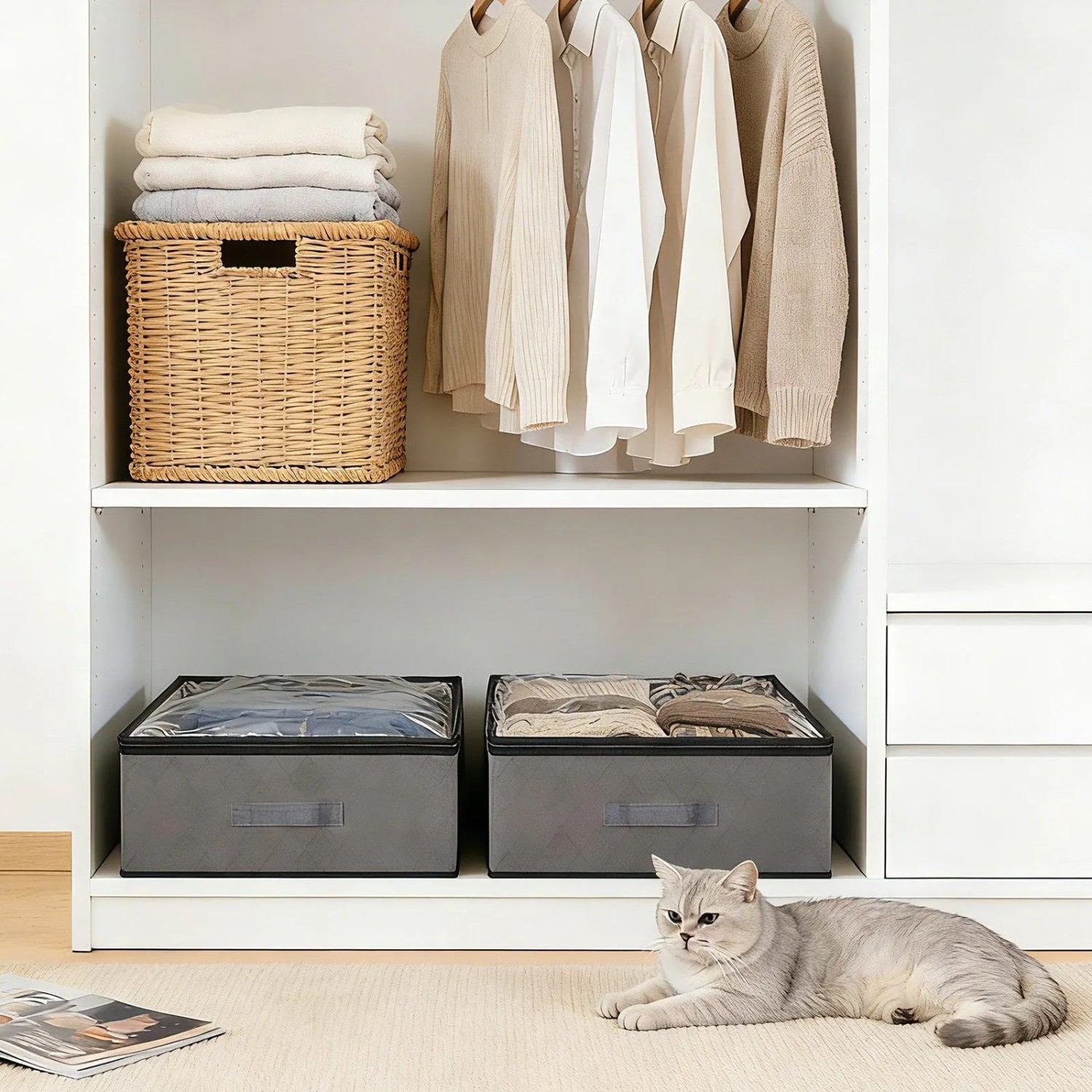 Graue Unterbettkommode mit transparentem Deckel, gefüllt mit Kleidung, im Kleiderschrank. Praktische Textil-Aufbewahrung.