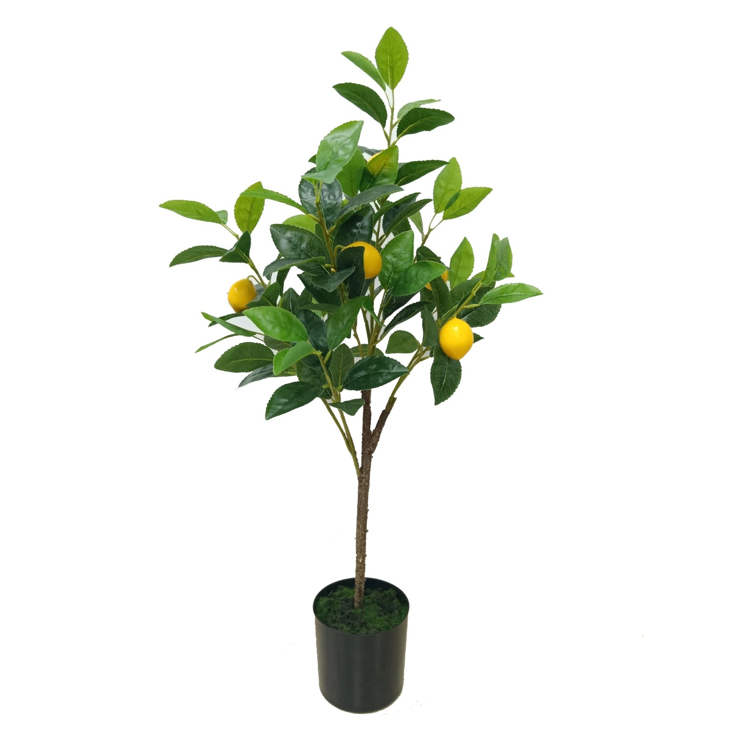 Boltze knstliche Zimmerpflanze Lemon klein Grn-Gelb kaufen bei OBI