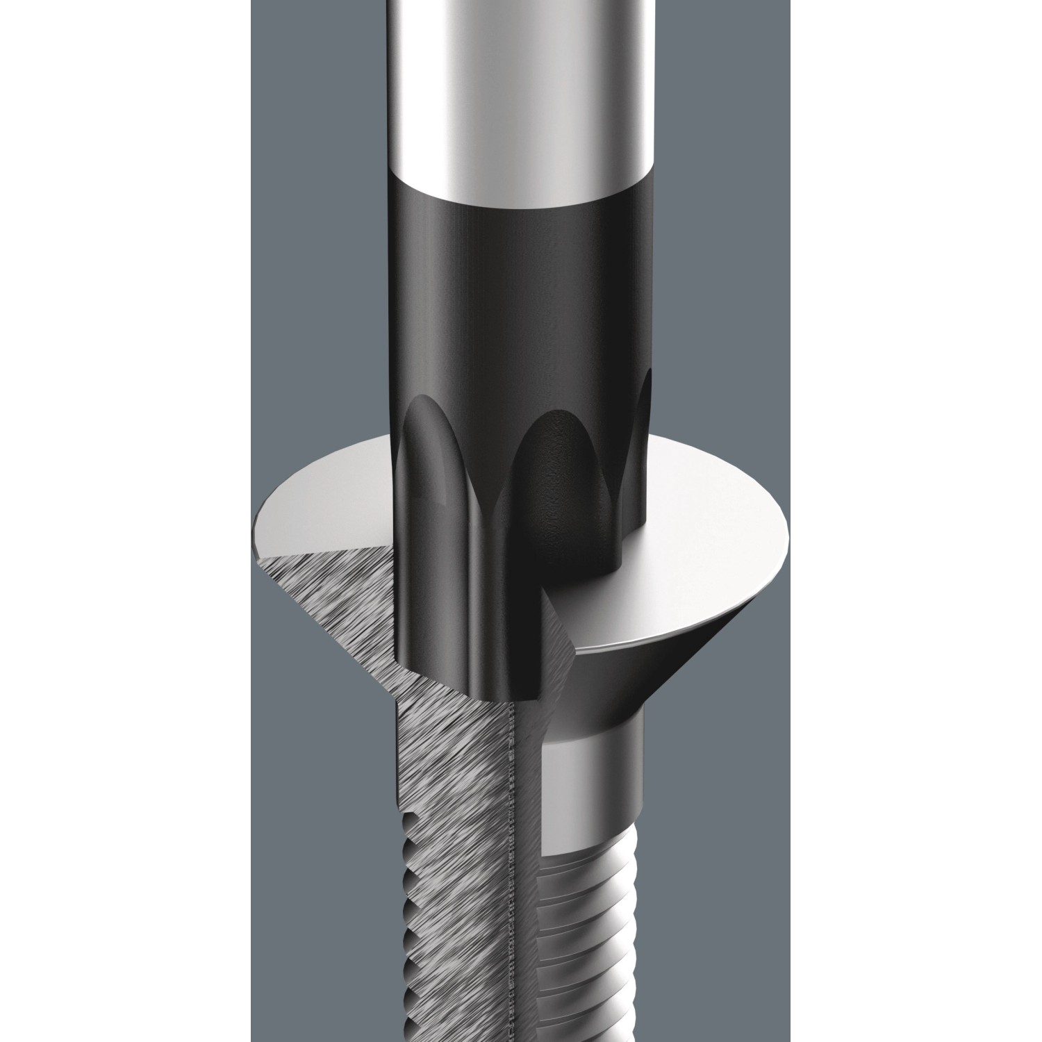 Detailaufnahme Wera 367 Torx Schraubendreher TX 10 x 80 mm, Schraubenzieher mit Torx Profil.