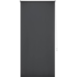 Graues Tageslicht-Rollo Zamora, 80x175 cm, für Sichtschutz ohne Verdunkelung.