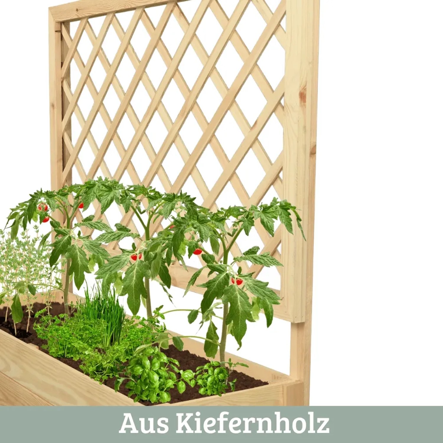 DELUKE Pflanzkasten mit Rankgitter THIO mit Vlies Handschuhe Hochbeet mit Rankhilfe Blumenkasten für Kletterpflanzen 98cm Breit_3