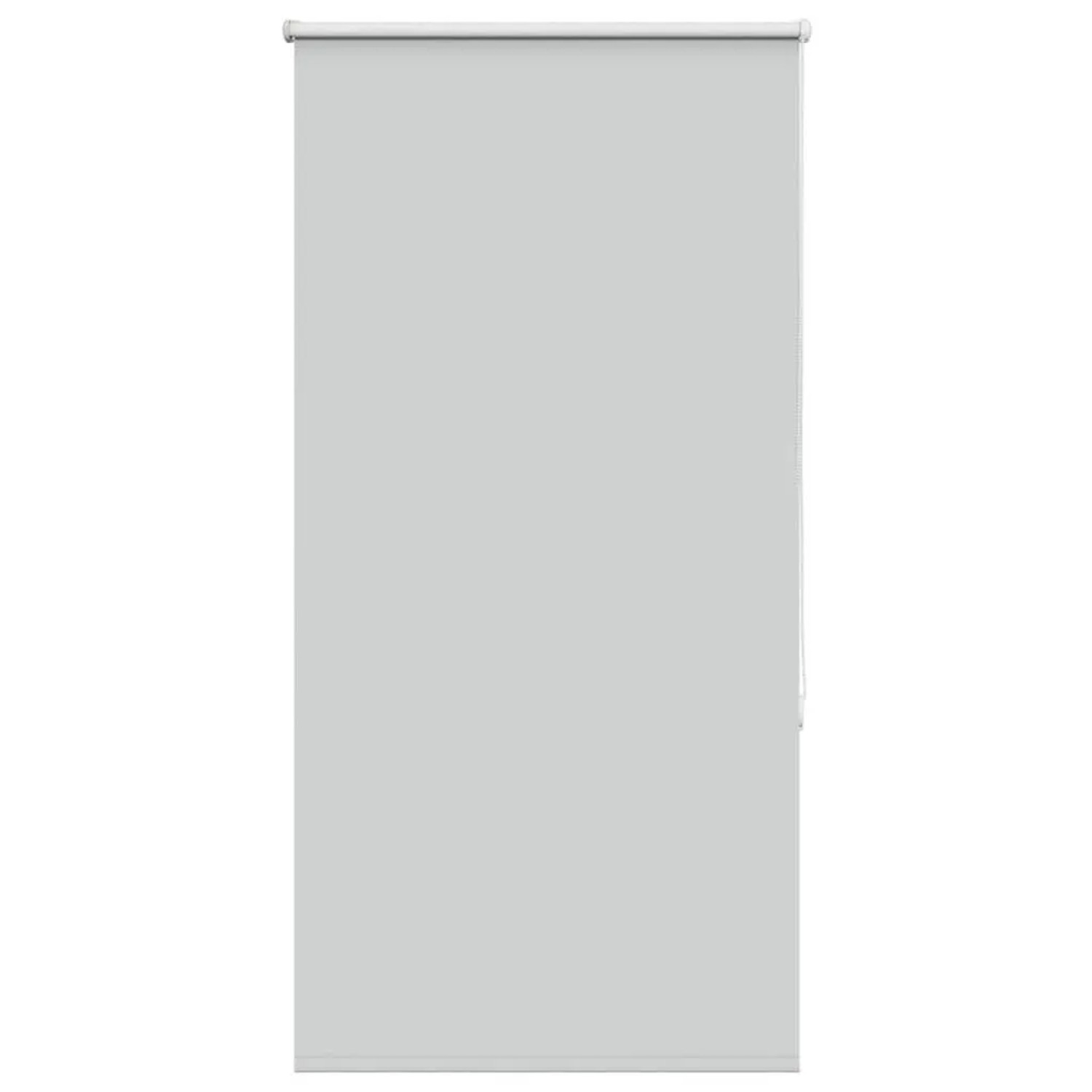 vidaXL Verdunkelungsrollo Hellgrau 80x175 cm Stoffbreite 75,7 cm 4011410