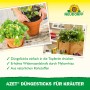 Neudorff Azet Düngestäbchen für Kräuter in Anwendung, Nahaufnahme von Kräutertöpfen.