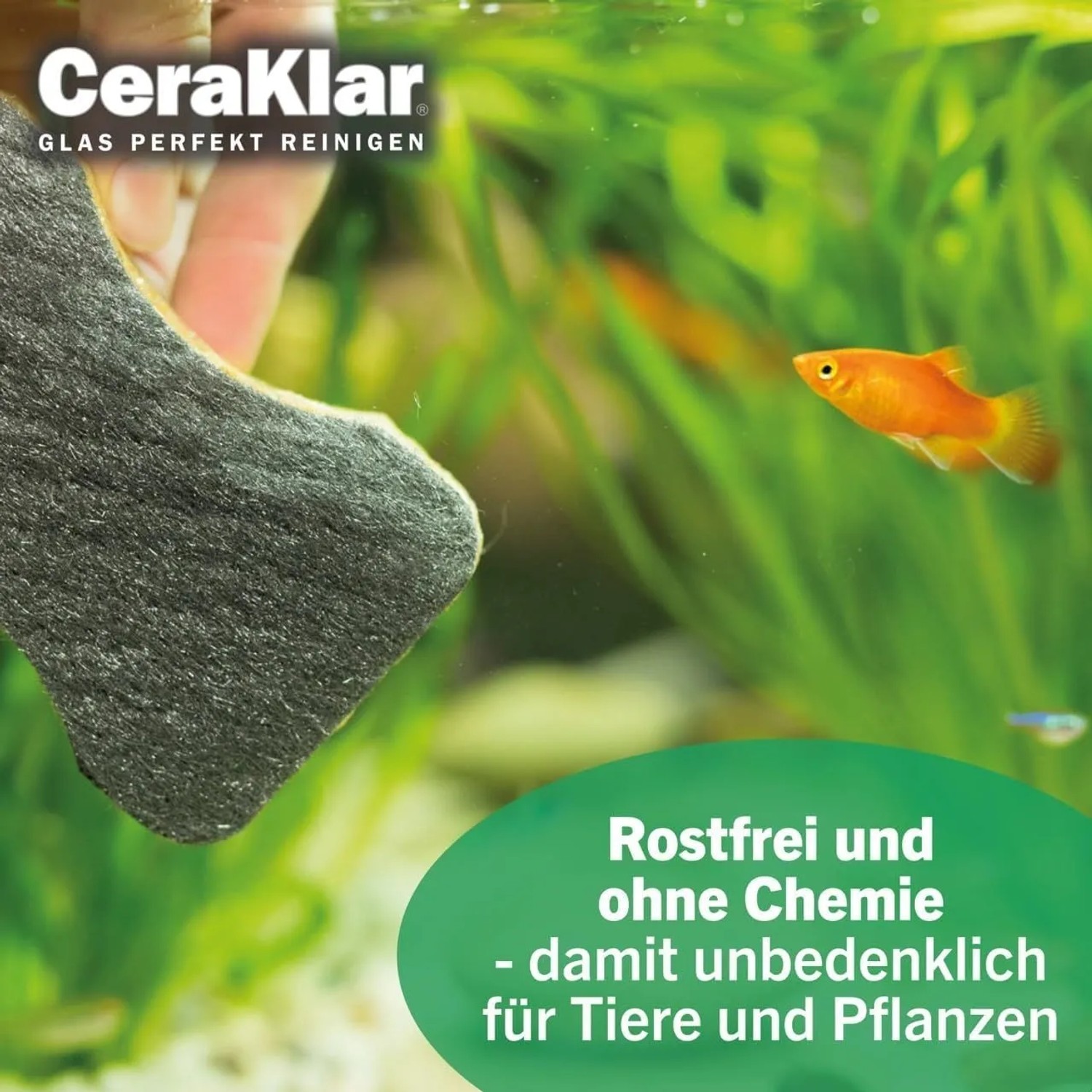 abrazo CeraKlar Aquarium Schwamm zur Reinigung von Aquarienscheiben mit Fisch im Hintergrund.