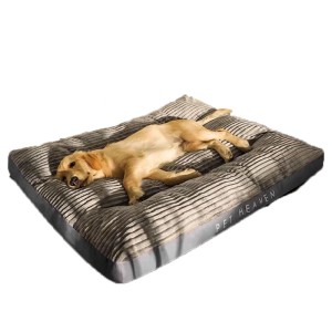 Graues Petsation Ganzjahres-Hundebett (60 cm) mit liegendem, hellbraunem Labrador.