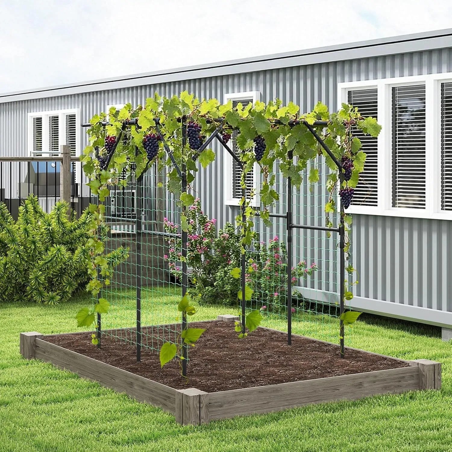 Schwarzes Costway Rankgitter (200x150x197 cm) für Kletterpflanzen im Garten.