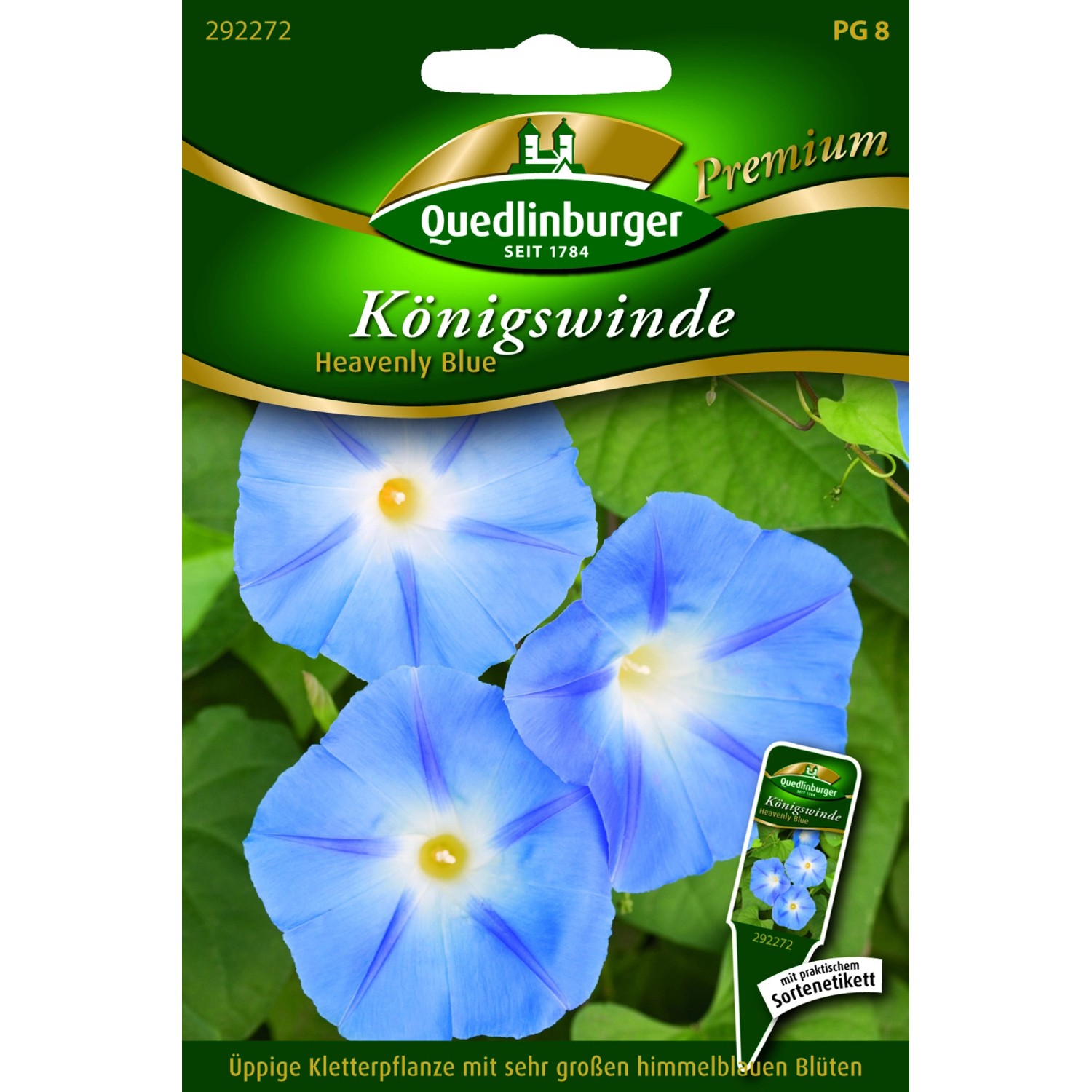 Quedlinburger Königs Winde ''Heavenly blue'' günstig online kaufen