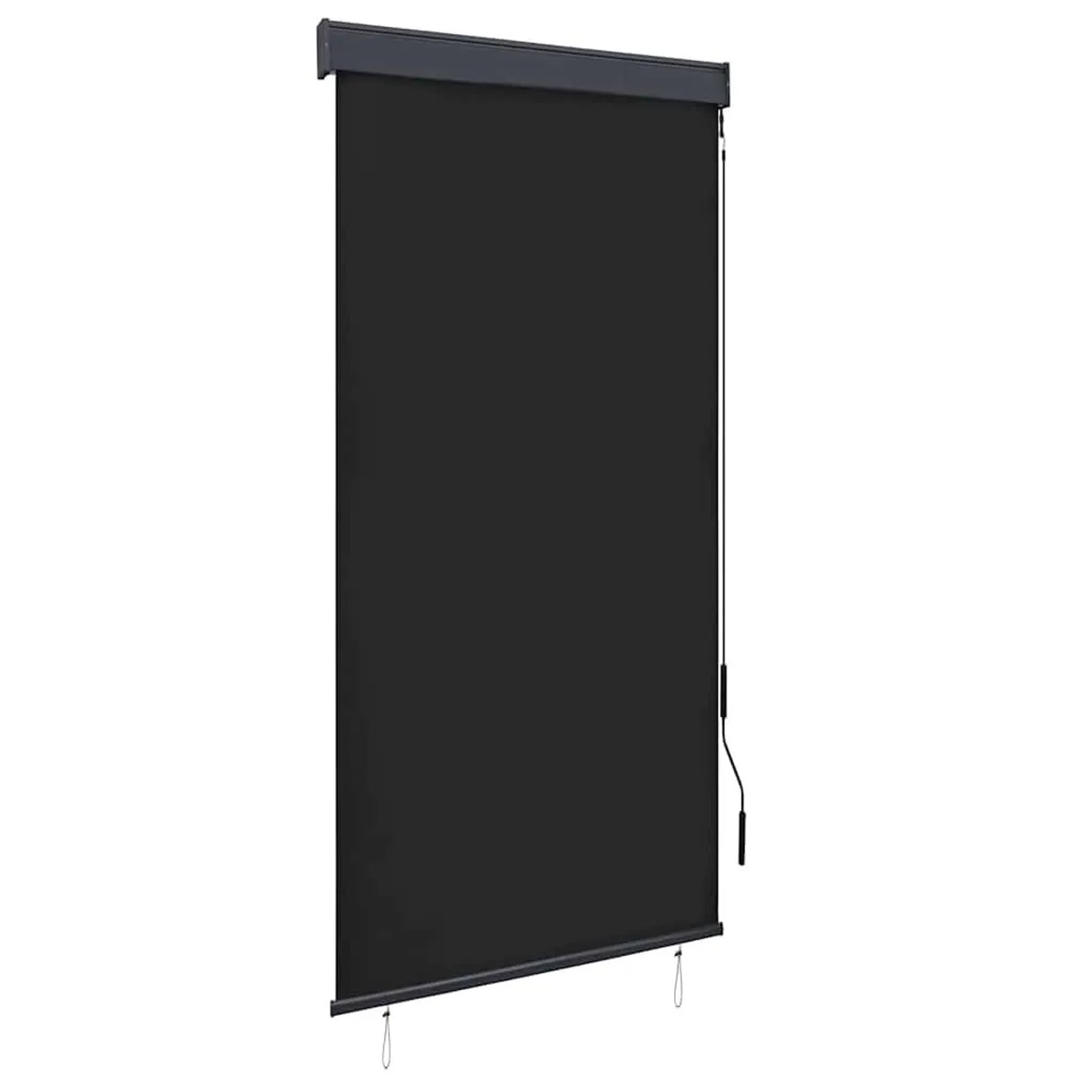 vidaXL Außenrollo 100 x 250 cm Anthrazit 145958