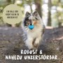 Hund mit blauem Rudelkönig Hundeball (6,5 cm) im Maul. Apportierspielzeug aus Naturkautschuk.