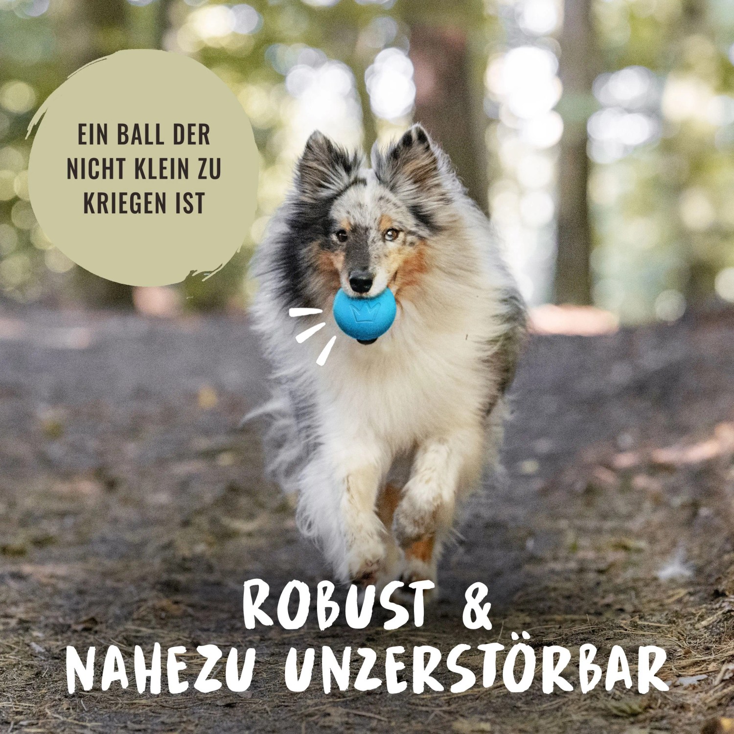 Hund mit blauem Rudelkönig Hundeball (6,5 cm) im Maul. Apportierspielzeug aus Naturkautschuk.