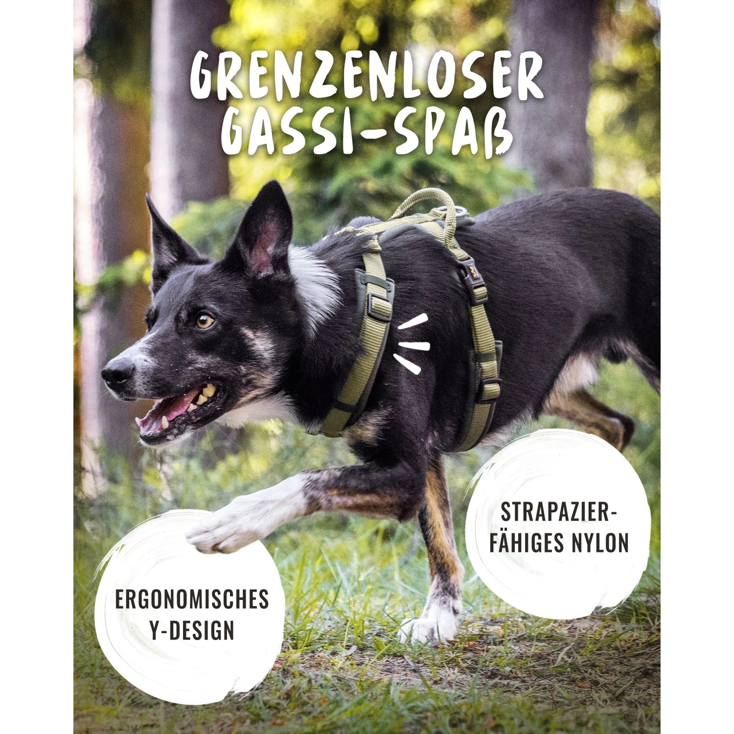 Schwarzer Hund mit Rudelkönig Hundegeschirr Bella, gepolstertes Brustgeschirr Größe S im Freien.