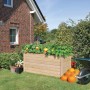 Karibu Hochbeet aus Fichte, naturbelassen, mit Bepflanzung und Kürbissen im Garten.