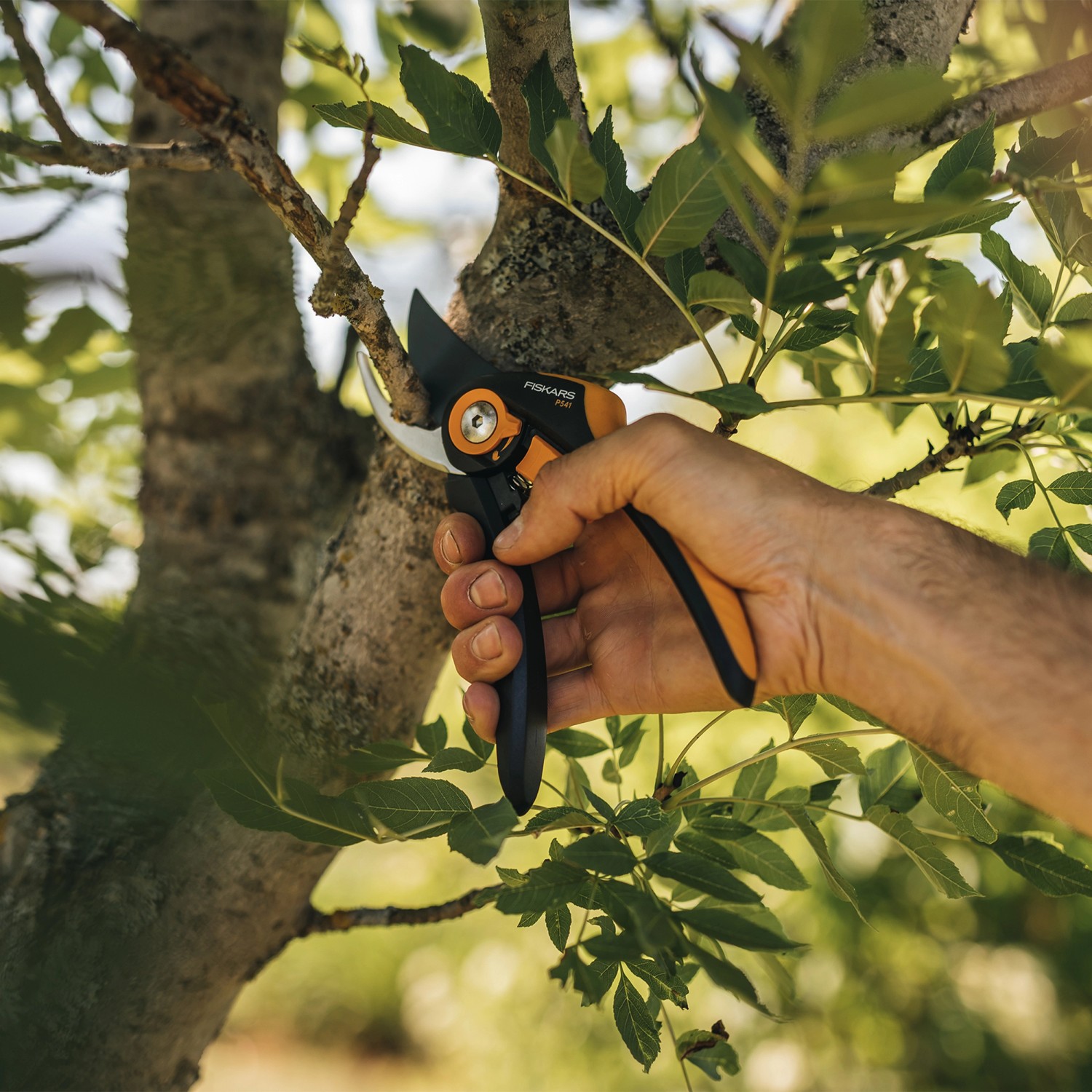 Hand schneidet Ast mit Fiskars Bypass-Gartenschere Plus SmartFit P541 im Garten.
