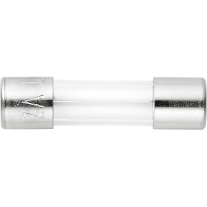 Feinsicherung 2A, flink, aus Glas mit silbernen Enden, zum Schutz elektrischer Geräte.