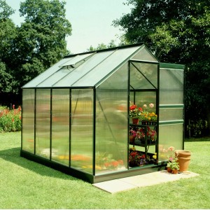 Grünes Halls Gewächshaus Popular 86 mit 5 m² Fläche im Garten. Pflanzen und Regale sind sichtbar.
