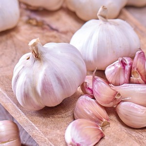 Knoblauchzehen und Knoblauchknollen der Sorte 'Flavor' auf Holzbrett.