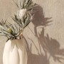 Beige Vliestapete mit floraler Blattoptik von Marburg. Moderne Dekoration für Wohnräume.