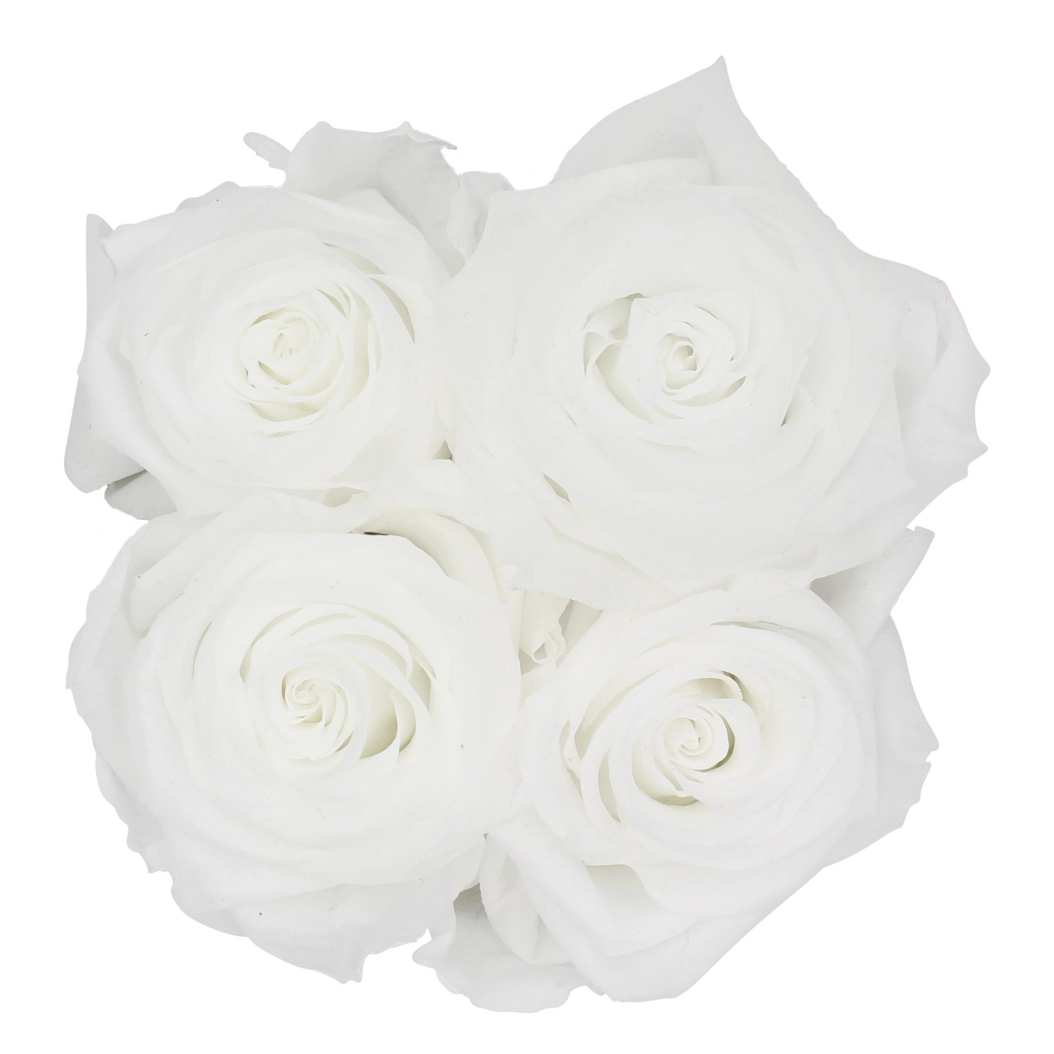 Eckige Rosenbox mit Schleife und 4 weißen Rosen, Blumenstrauß.