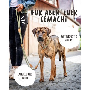 Grüne, verstellbare Rudelkönig Hundeleine Emma aus Kletterseil mit Lederdetails, Hund im Bild.
