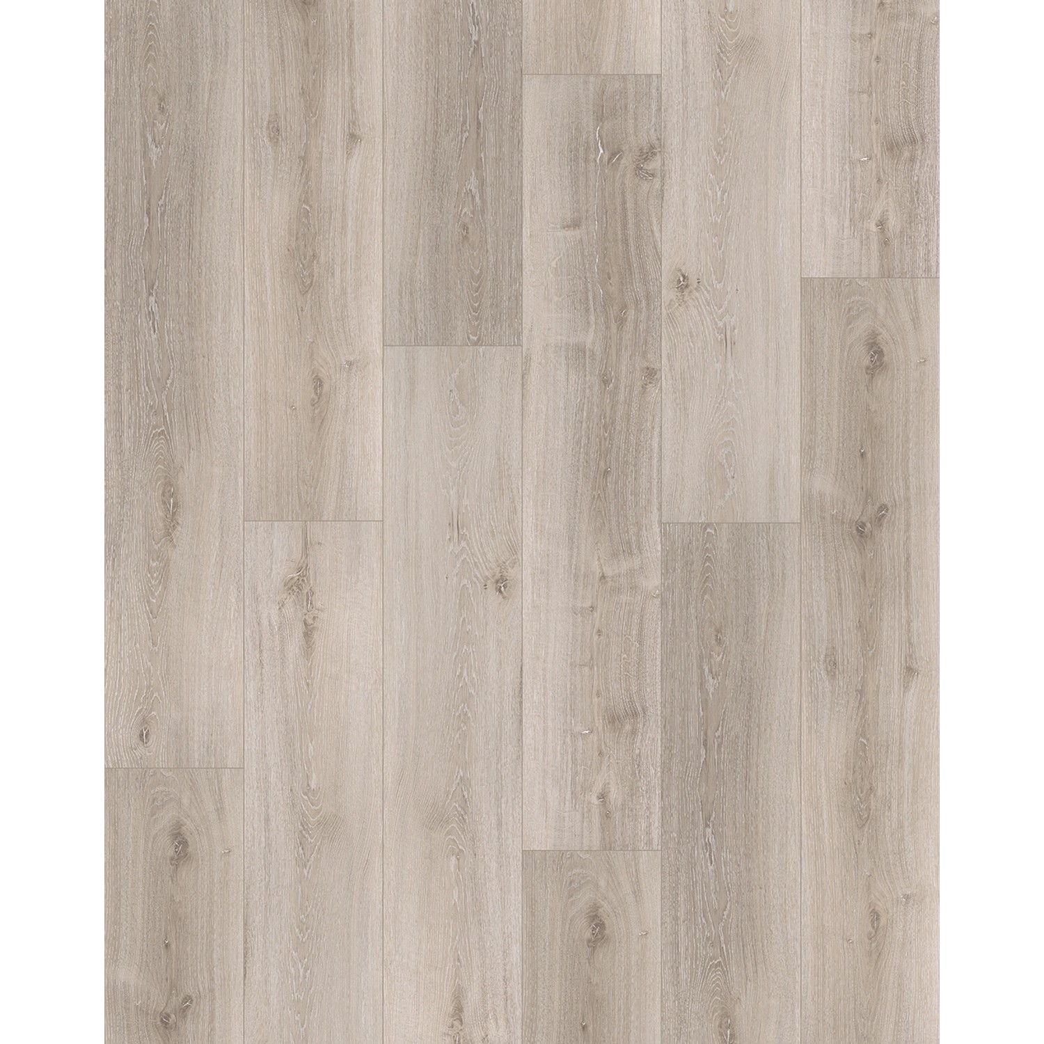 Parador Vinylboden Basic 5.3 Eiche Grau geweißt, Klick-Vinyl in heller Holzoptik.