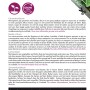 Microgreens Zitronenbasilikum Saatgut ca. 1 g Frischer Zitrusgeschmack_2